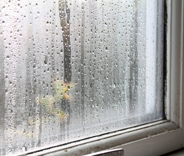 Condensation Control: Advice for Landlords