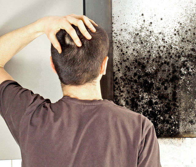 How to Damp Proof a House