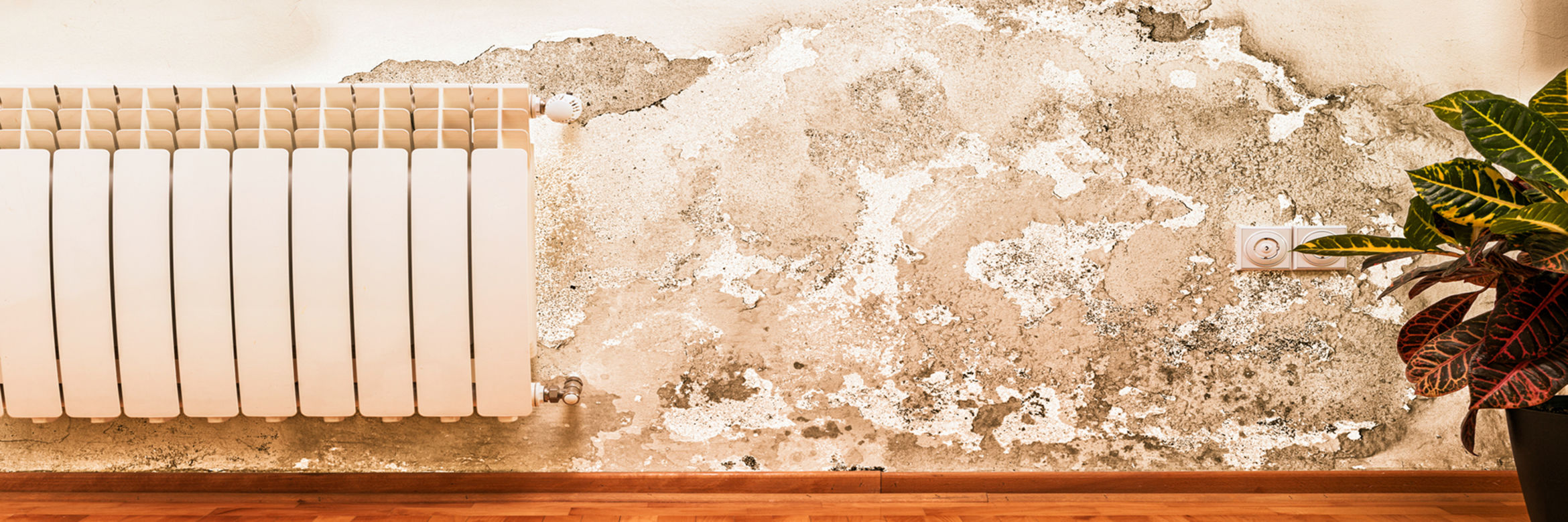 Rising-damp-How-to-treat-it