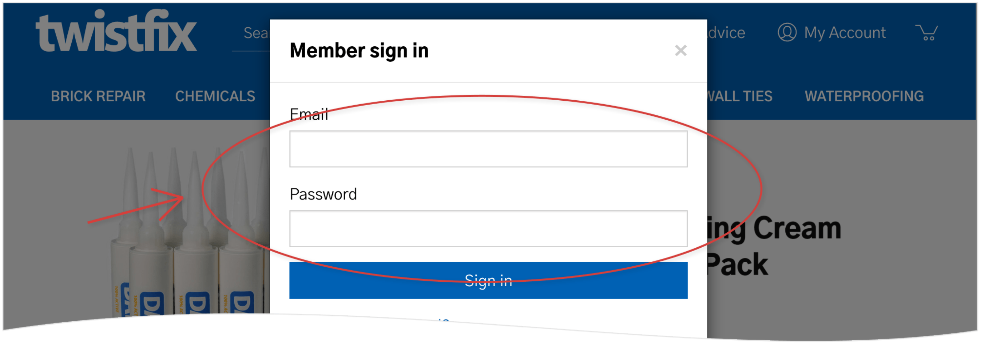 Log in using your email and password: