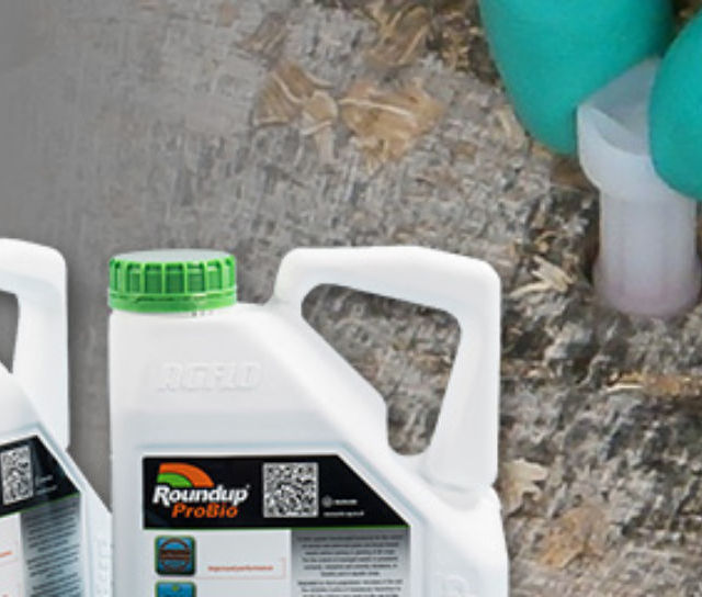 Don't be STUMPED by this One Common Problem