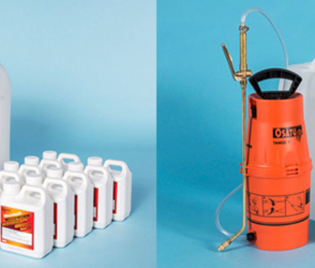 Save £££s on Woodworm Timber Treatment!