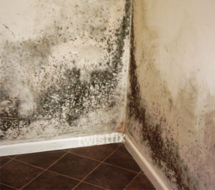 Black-Mould-Condensation