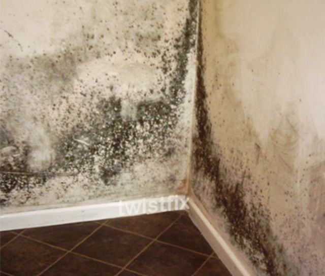 Condensation Blights UK Homes