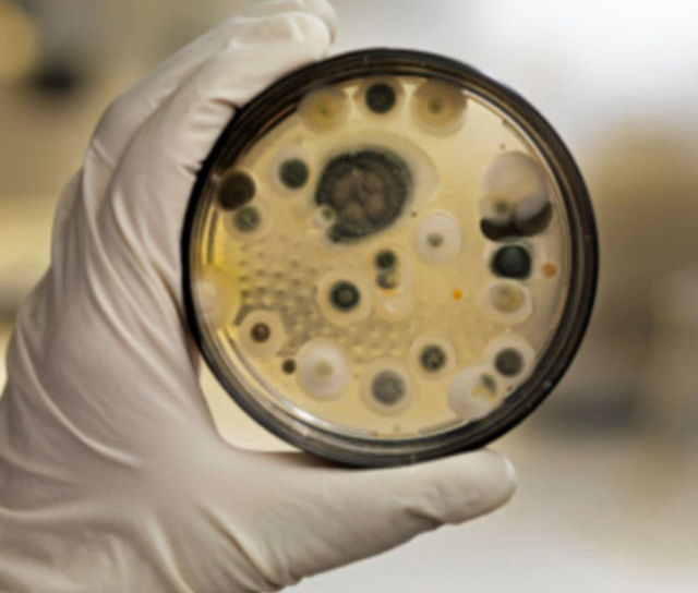 Damp Condensation and Mould - New Study Results