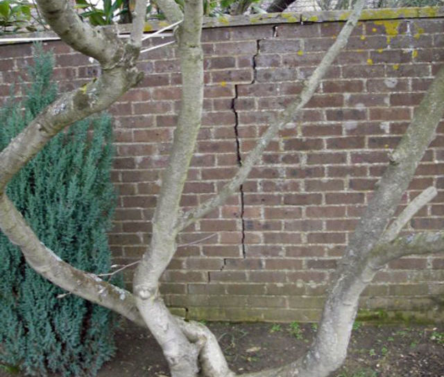 Structural Defects to Retaining Walls - Know Your Responsibilities!