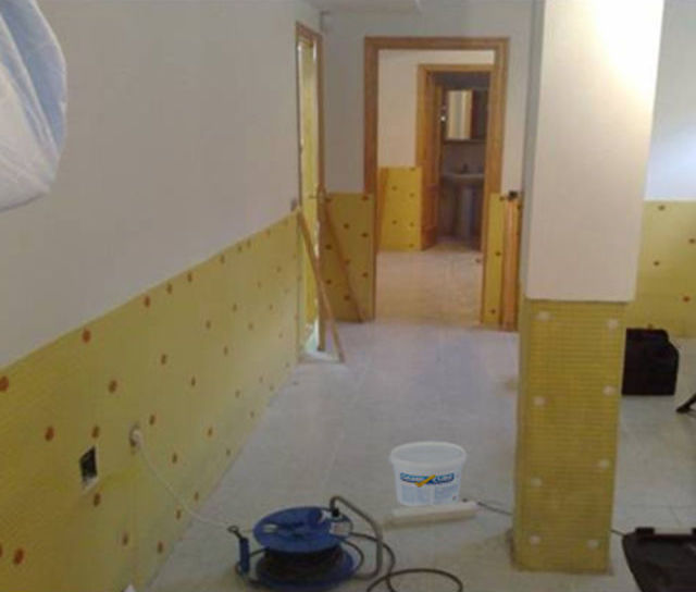 Damp Shop open for Christmas