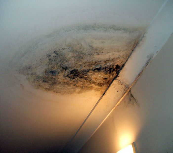 Damp-ceiling