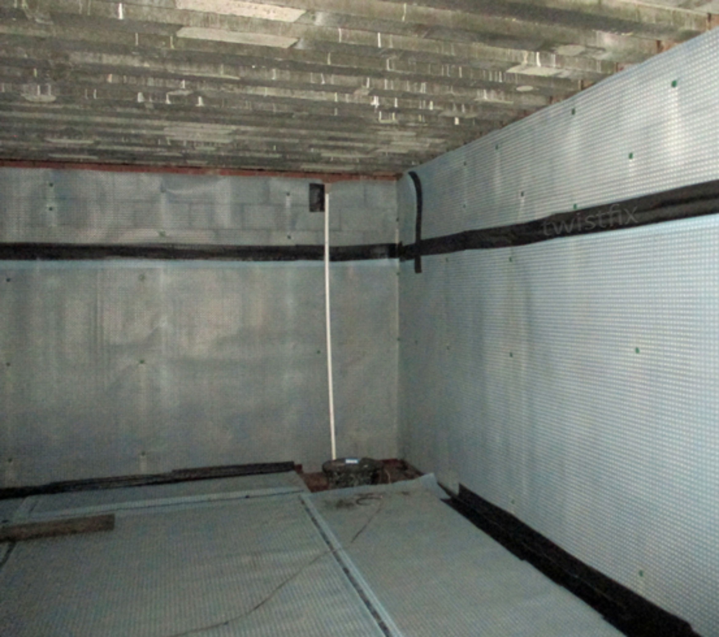 basement membrane