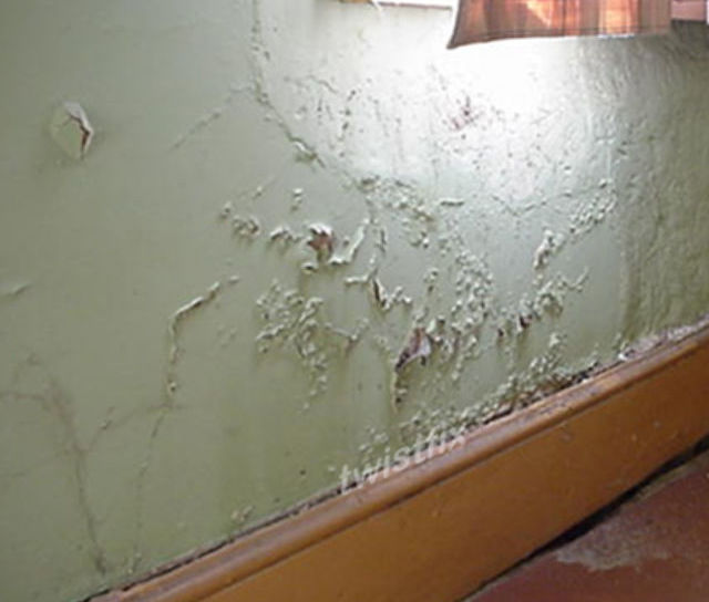 Damp Proofing and Rising Damp