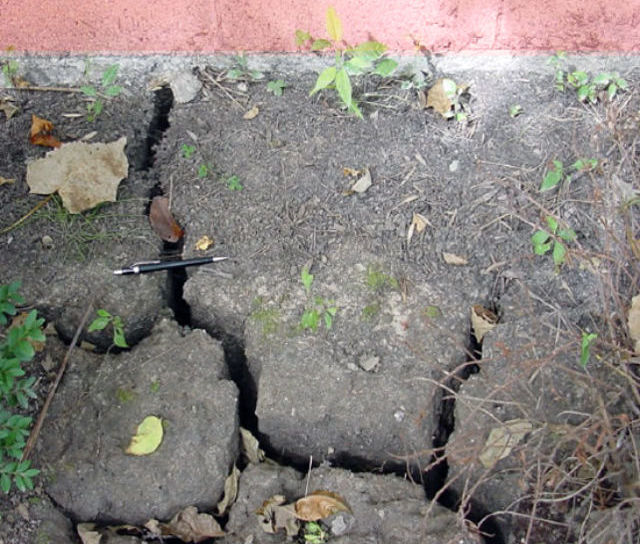 Damp Proofing - The Time is Now!