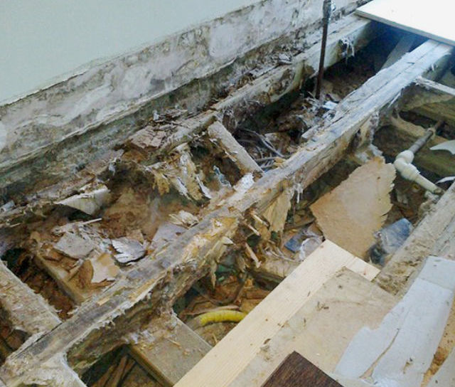 Dry Rot Treatment in Manchester
