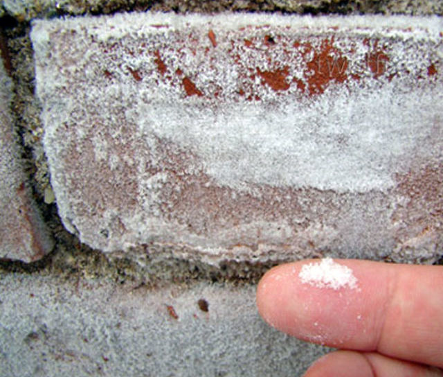 New Damp Course for Old Museum