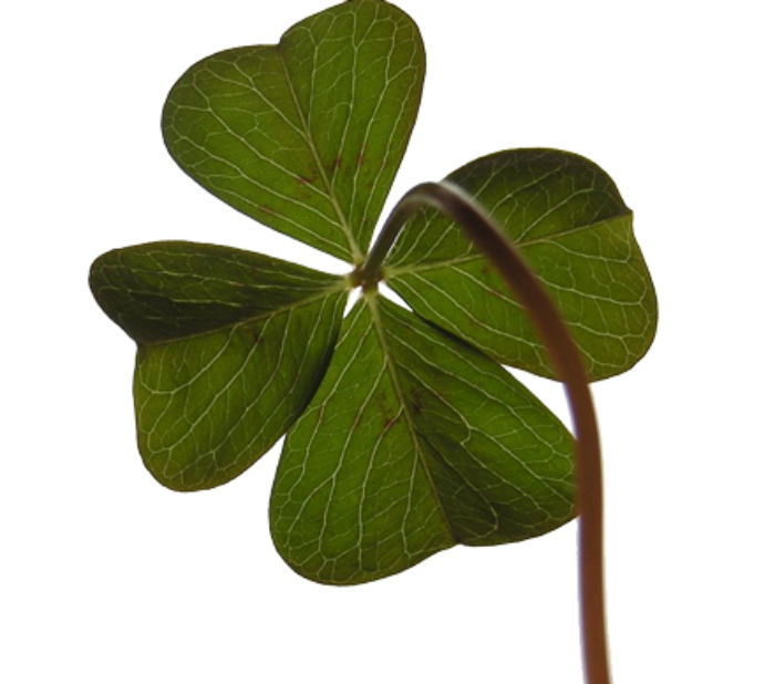 Irish-Good-luck