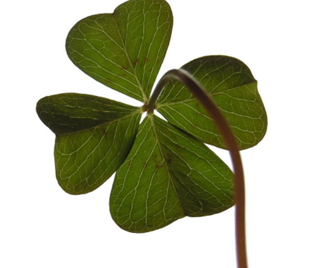 Twistfix Opens in Ireland