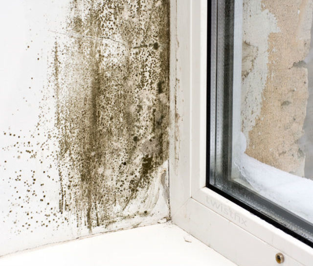 Condensation Control - Exclusive Twistfix Discounts!