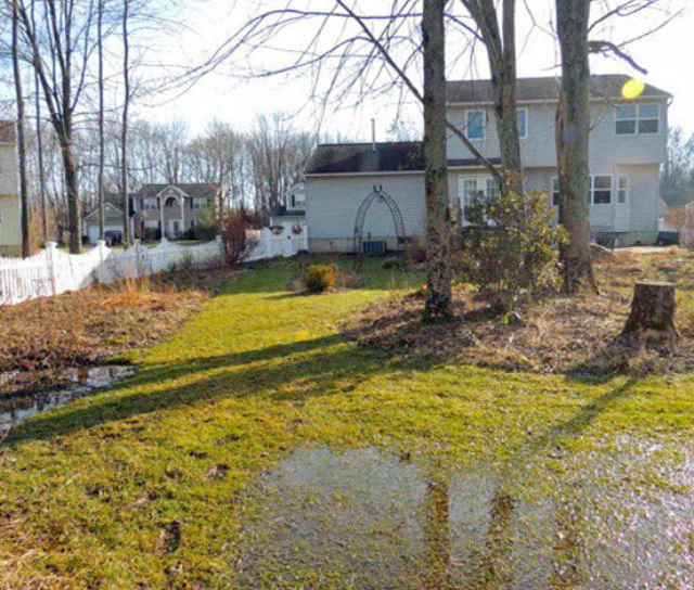 Heavy Rain + Saturated Ground = Rising Damp