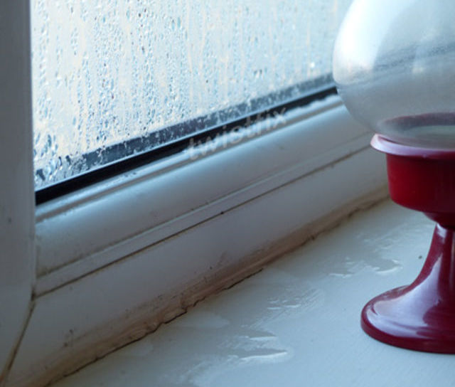 Surviving Condensation Season - Part 1