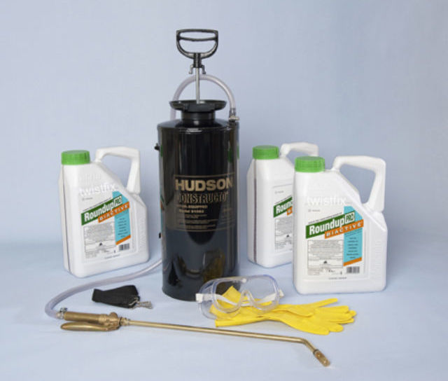 Grounds Maintenance: Japanese Knotweed