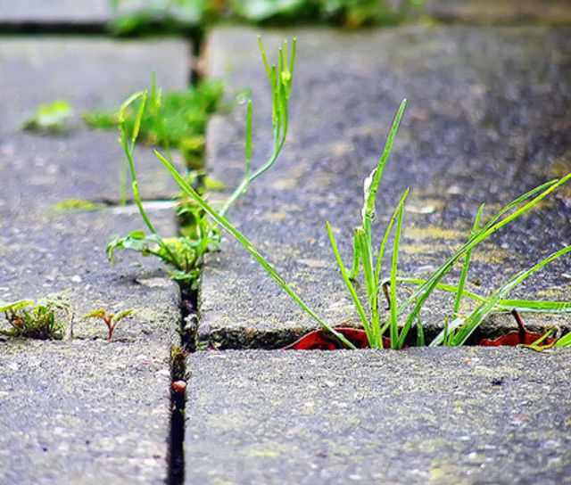 Twistfix Launch Grounds Maintenance