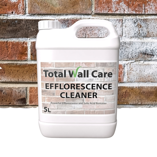 Efflorescence Cleaner – Brick & Masonry Salt Deposit Remover