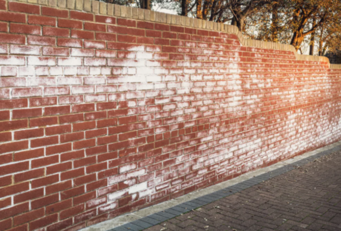 Efflorescence Wall