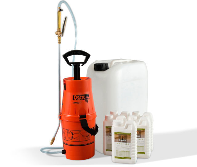 Woodworm Treatment: Defeat the Beetles!