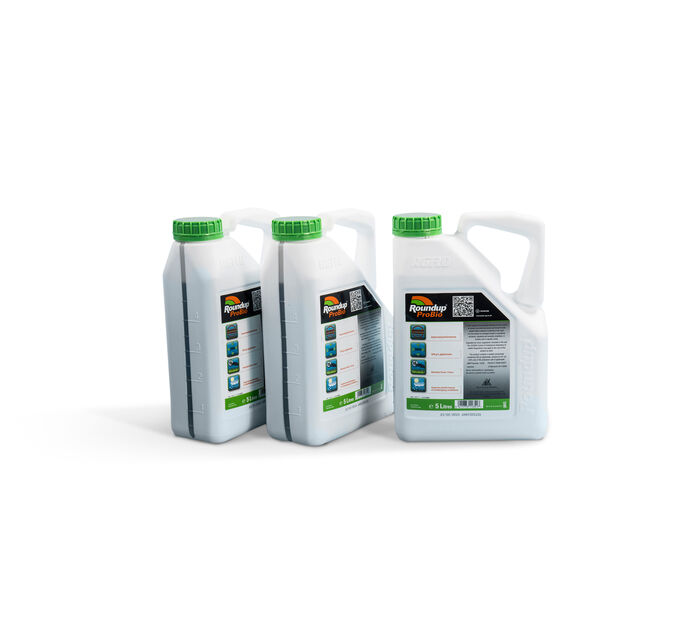 knotweed-control-treatment-2