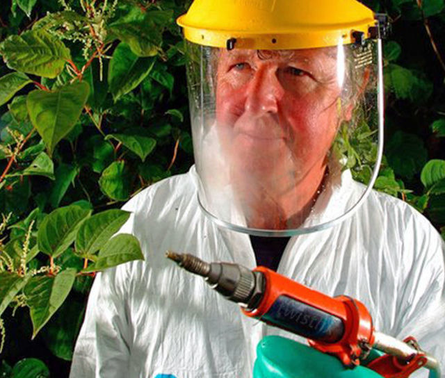 Comprehensive Weed Control: Our Professional Collection