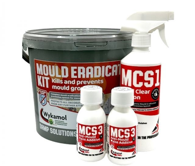 The Health Consequences of Mould