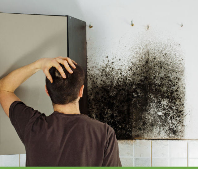 Damp Walls: The Causes and the Solutions